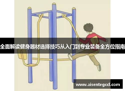 全面解读健身器材选择技巧从入门到专业装备全方位指南