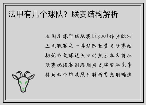 法甲有几个球队？联赛结构解析